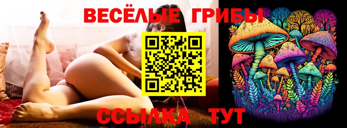 Псилоцибиновые грибы прущие грибы  Вход с VPN  Галлюциногенные грибы мицелий  Альметьевск 