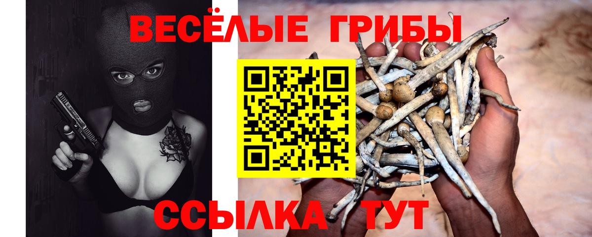 Псилоцибиновые грибы Psilocybine cubensis Альметьевск